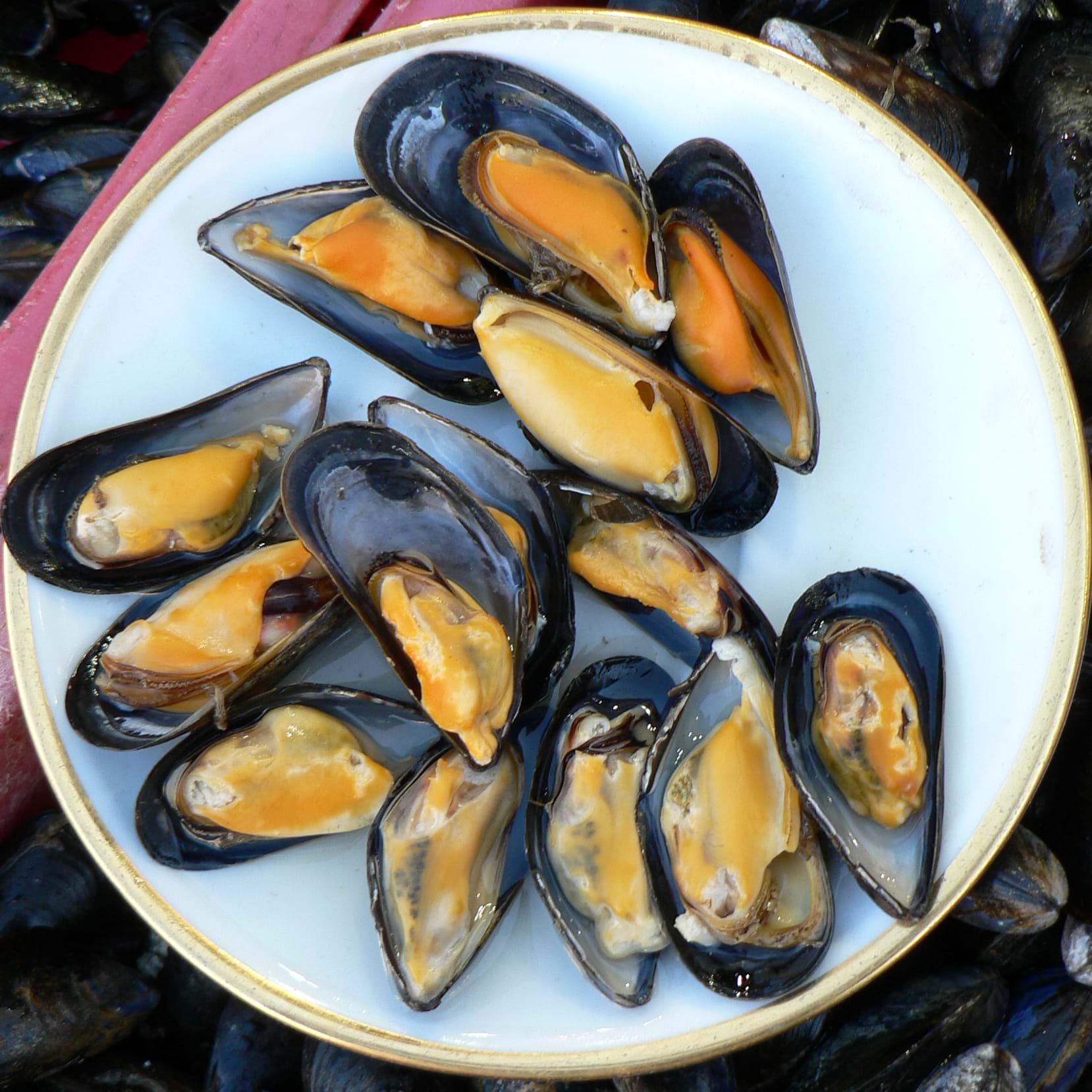 Image of cooked mussels on a plate